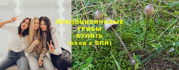 гашик Аркадак