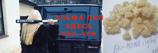 стафф Арсеньев