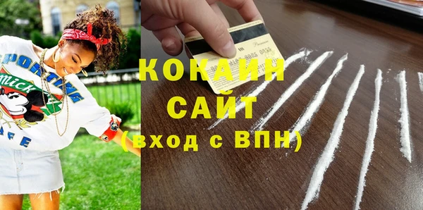 гашик Аркадак