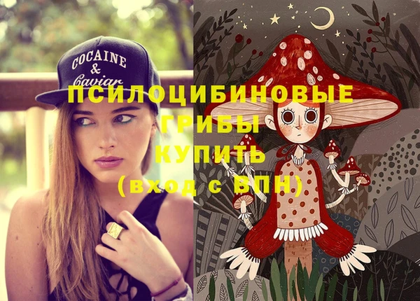 гашик Аркадак