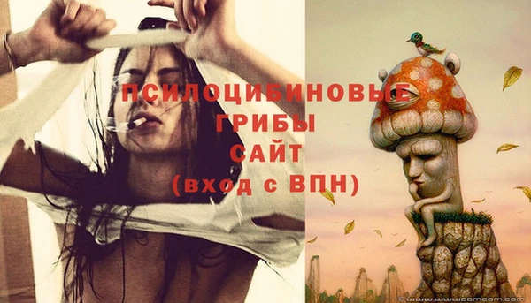 стафф Арсеньев
