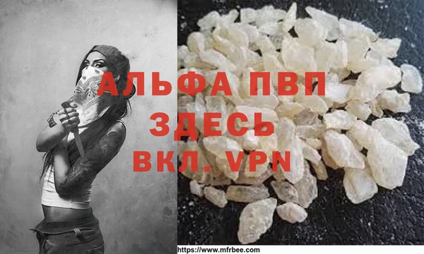 стафф Арсеньев