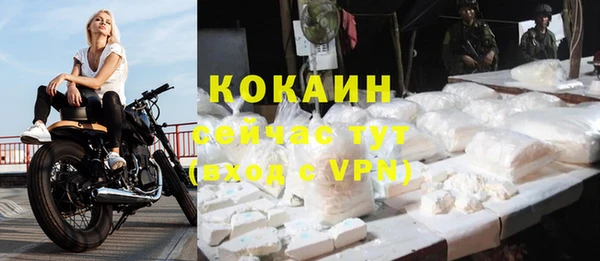 гашик Аркадак