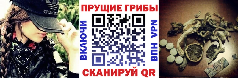 ссылка на мегу сайт  закладки  Любань  Псилоцибиновые грибы мицелий 